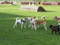 Spielstunde 14.05 (71)