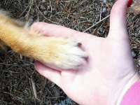 FB_IMG_1537521596588