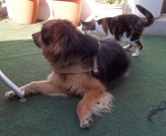 5 guck und schnupper