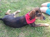 20150704_151134 - Kopie