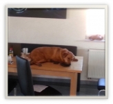 Bild1