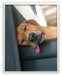 Bild4