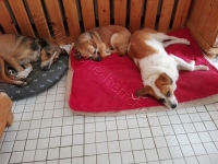 IMG-20160514-WA0000