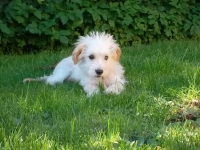 SAM_0886