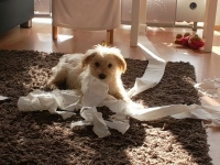 SAM_0922