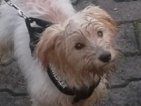 SAM_0941