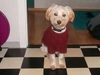 SAM_0970
