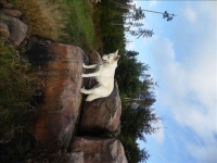 SAM_1211