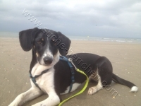 Teyha_Beach