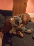 Tucky003