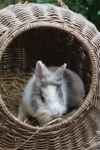 familie 2014 floh april (2)