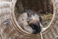 familie 2014 fritzi april (8)