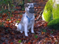 lola-lilli-008