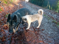 lola-lilli-027