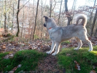 lola-lilli-042
