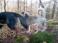 lola-lilli-043
