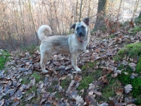 lola-lilli-046