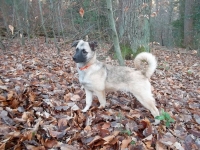lola-lilli-050