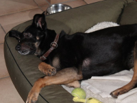 linda relaxed2 (2)