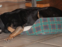 linda relaxed2