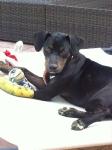 LucyLou