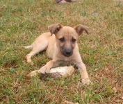 Kira_070