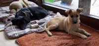 SISSI_und_HOPSA_002