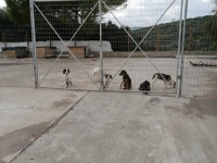 shelter-2020-3