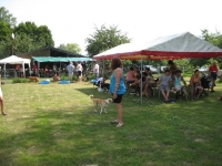 Sommerfest  Suche Herrchen 038