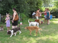 Sommerfest  Suche Herrchen 046