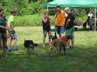 Sommerfest  Suche Herrchen 058