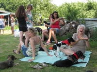 Sommerfest  Suche Herrchen 067