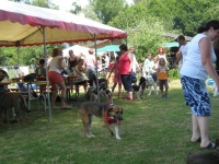 Sommerfest  Suche Herrchen 069