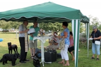 Sommerfest 7-7-2018 (102)