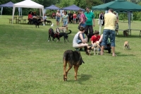 Sommerfest 7-7-2018 (49)