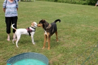 Sommerfest 7-7-2018 (51)