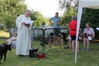 sommerfest-2019-111