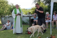 sommerfest-2019-121