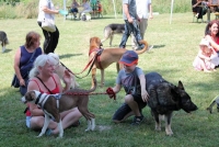 sommerfest-2019-122