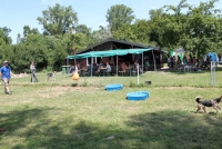 sommerfest-2019-128