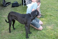 sommerfest-2019-130