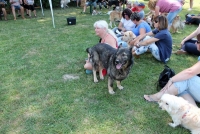 sommerfest-2019-136