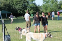 sommerfest-2019-14