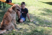 sommerfest-2019-144