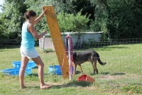 sommerfest-2019-15