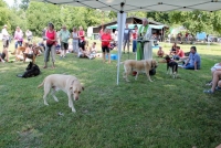 sommerfest-2019-151