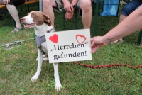 sommerfest-2019-52