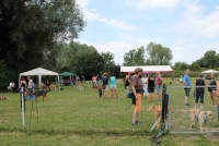 sommerfest-2019-58