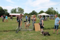 sommerfest-2019-60