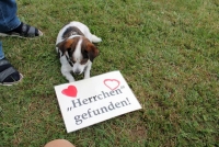 sommerfest-2019-65